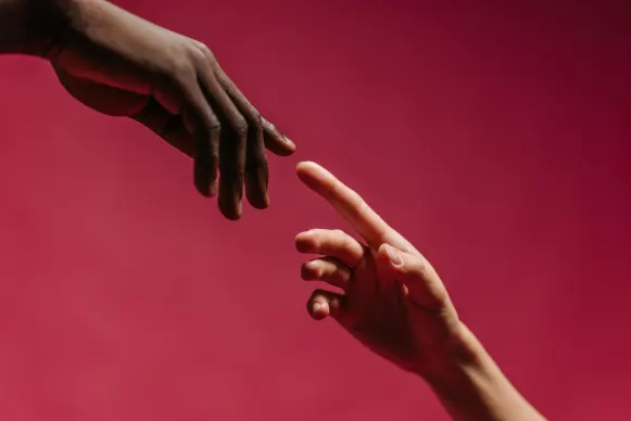 Casino Vegas Crest Stuðningur